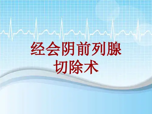 外科手术教学资料：经会阴前列腺切除术讲解模板