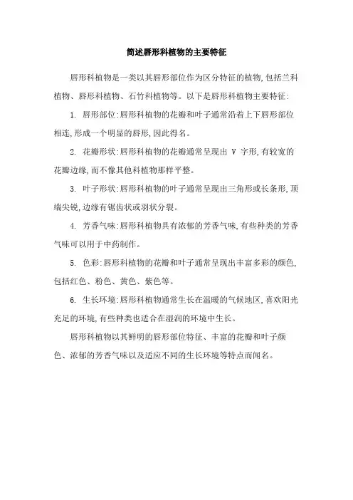 简述唇形科植物的主要特征