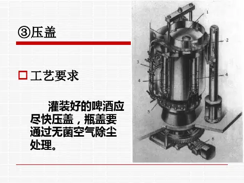 第五章啤酒的过滤与灌装.