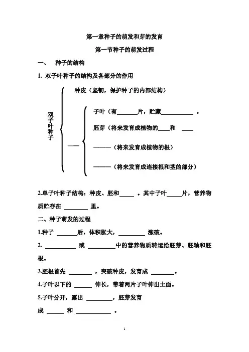 第一章种子的萌发和芽的发育