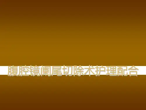 腹腔镜阑尾切除术护士配合ppt课件