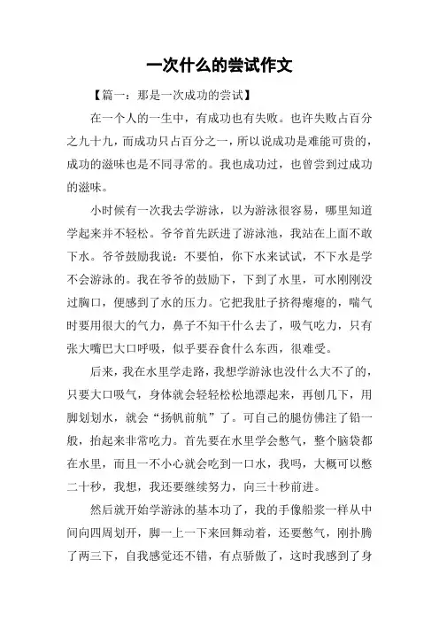 一次什么的尝试作文