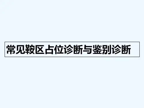 鞍区占位 PPT