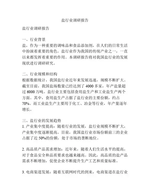 盐行业调研报告