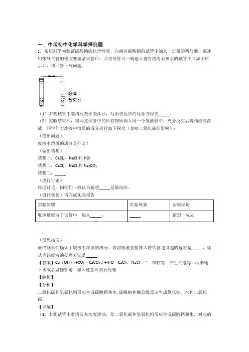 中考化学探究题(大题培优)附答案