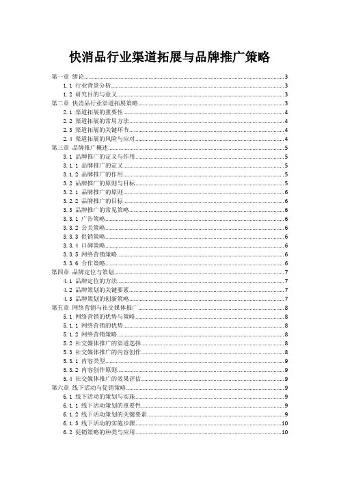 快消品行业渠道拓展与品牌推广策略