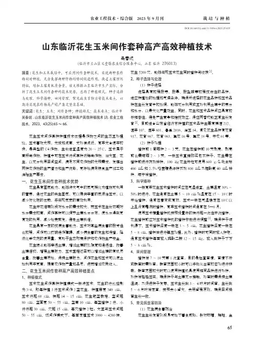 山东临沂花生玉米间作套种高产高效种植技术