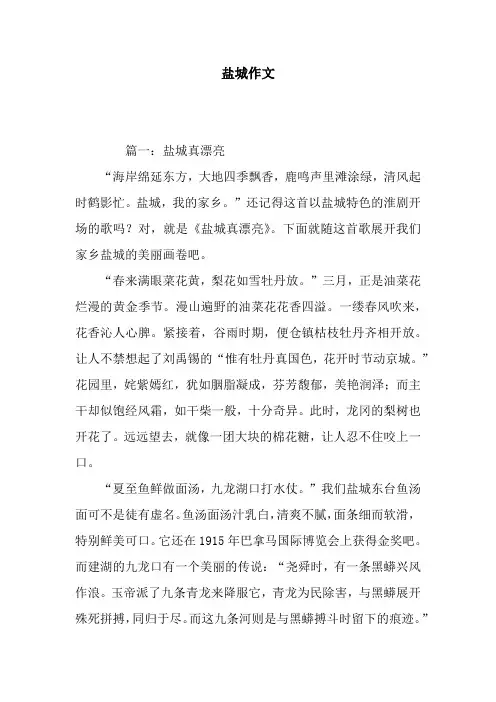 盐城作文
