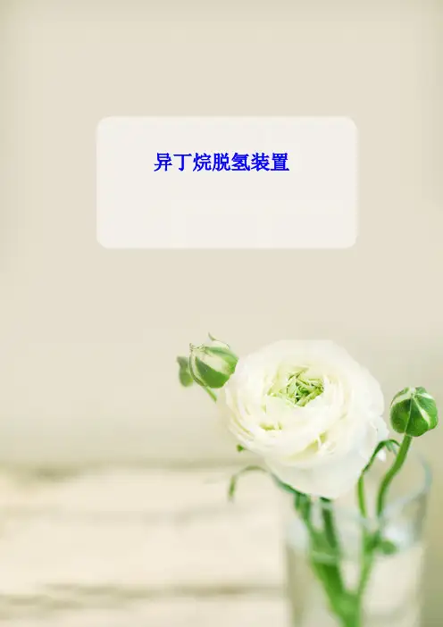异丁烷脱氢装置