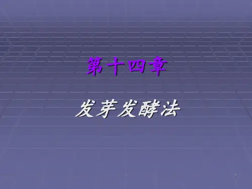 中药炮制学-第十四章-中药发酵、发芽PPT课件