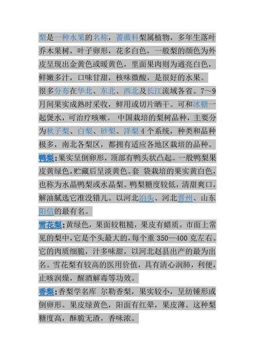 梨 文档