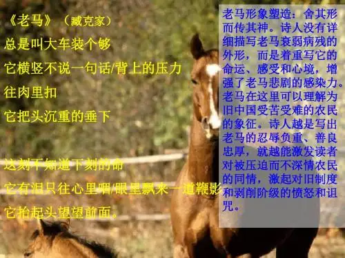人教新课标版初中七下《马》ppt课件