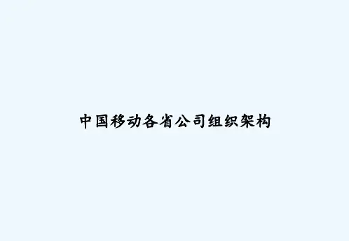 中国移动各省公司组织架构 PPT