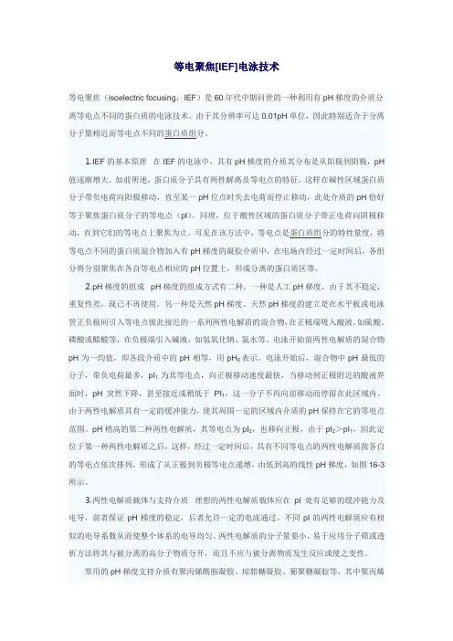 等电聚焦ief电泳技术