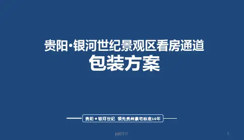 房地产看房通道包装方案  ppt课件
