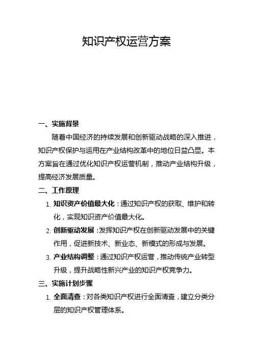 知识产权运营方案(二)