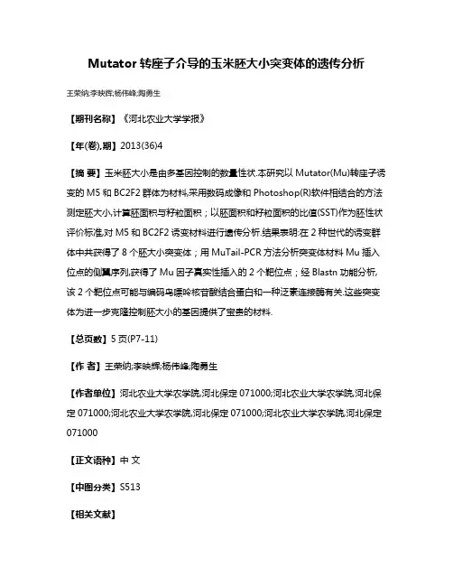Mutator转座子介导的玉米胚大小突变体的遗传分析