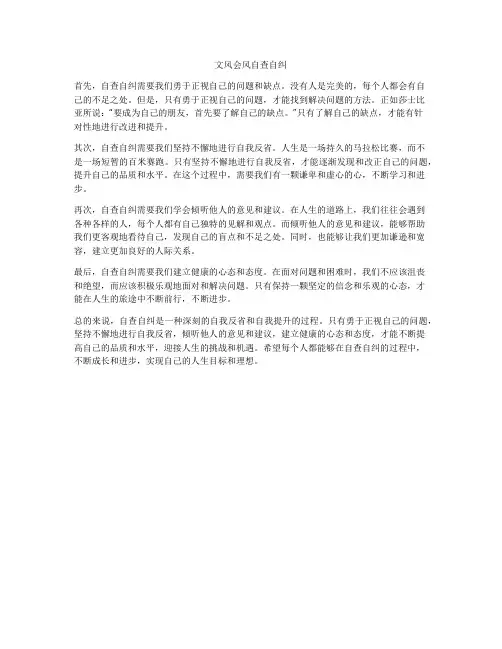 文风会风自查自纠