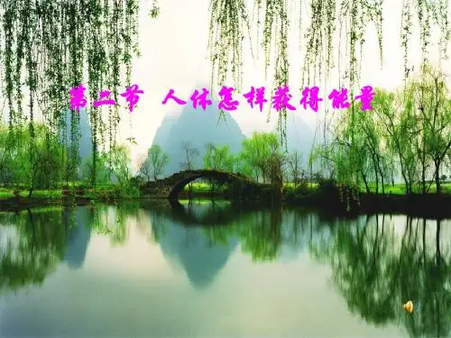 第二节 人体怎样获得能量