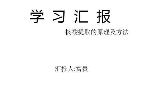 核酸提取和注意事项ppt课件
