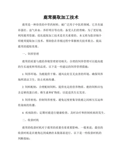 鹿茸提取加工技术