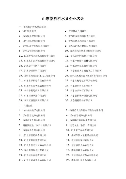 山东临沂沂水重点企业