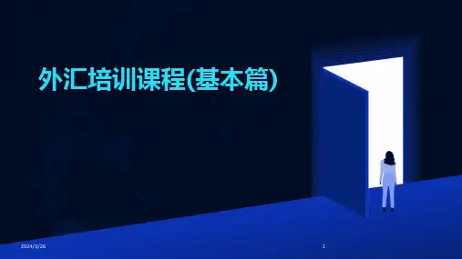 (2024年)外汇培训课程(基本篇)