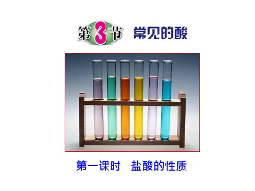 20_第3节常见的酸(第一课时)ppt课件