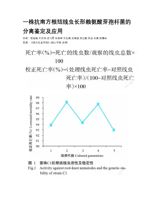 一株抗南方根结线虫长形赖氨酸芽孢杆菌的分离鉴定及应用