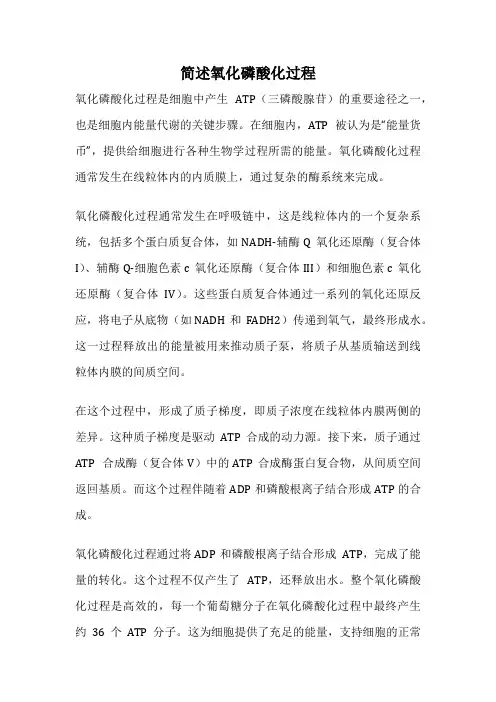 简述氧化磷酸化过程