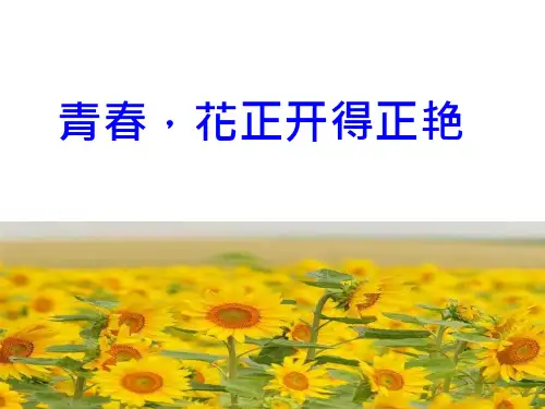 青春期主题班会ppt课件