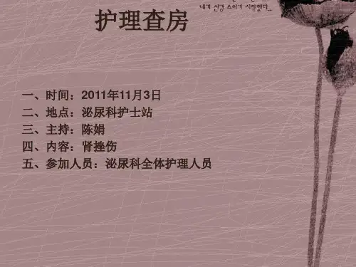 教学查房 肾挫伤