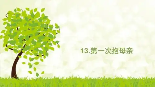 第一次抱母亲PPT