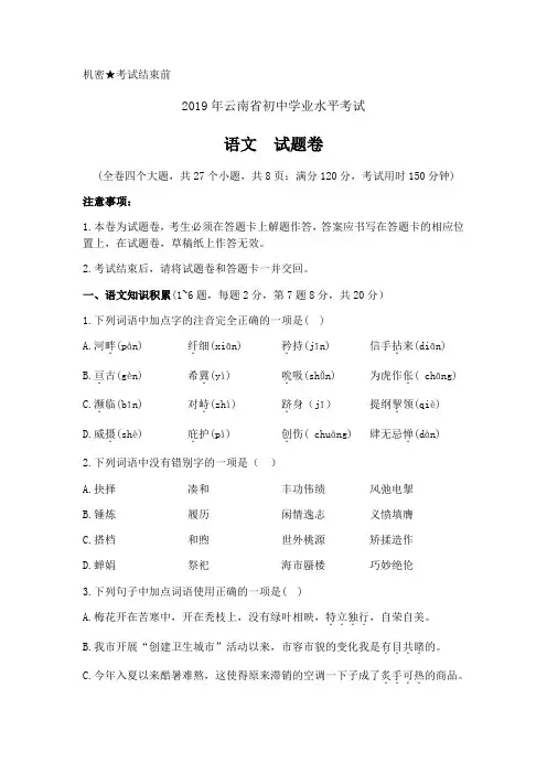 2019年云南省中考语文试题(含答案)