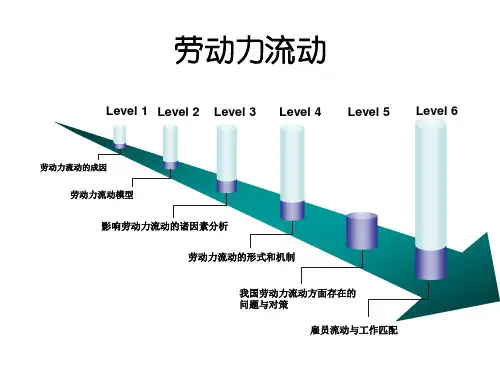 5劳动力流动迁移移民