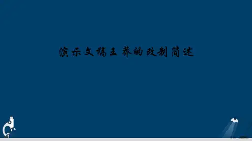 演示文稿王莽的改制简述