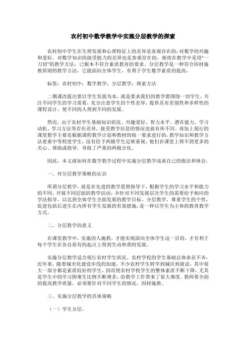 农村初中数学教学中实施分层教学的探索