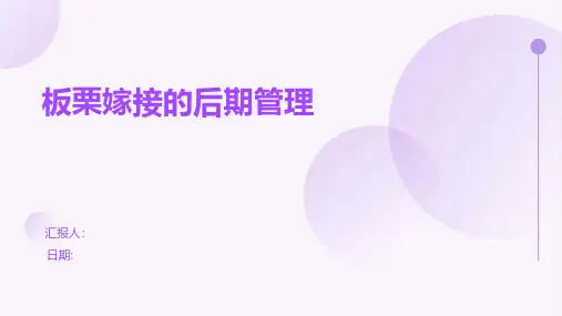 板栗嫁接的后期管理