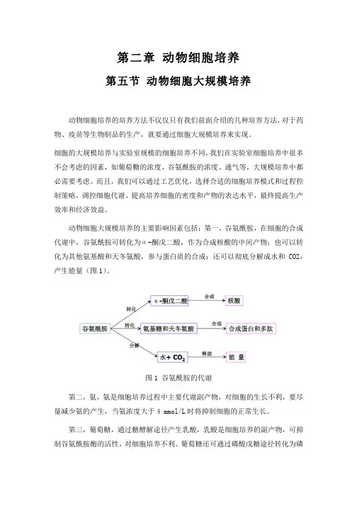 动物细胞的大规模培养
