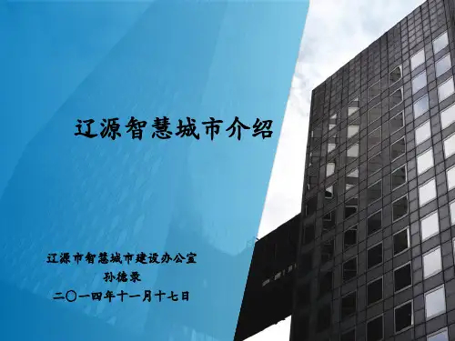 辽源智慧城市简介