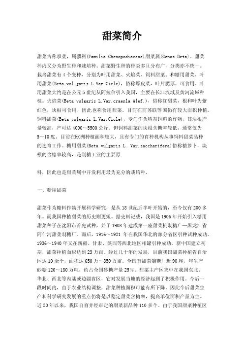 甜菜简介——精选推荐