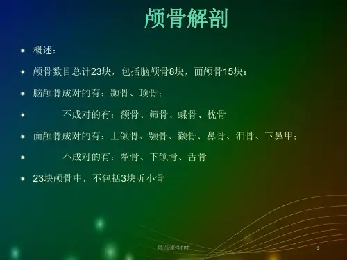 颅骨3D解剖ppt课件