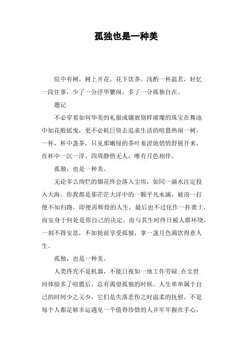 孤独也是一种美—作文