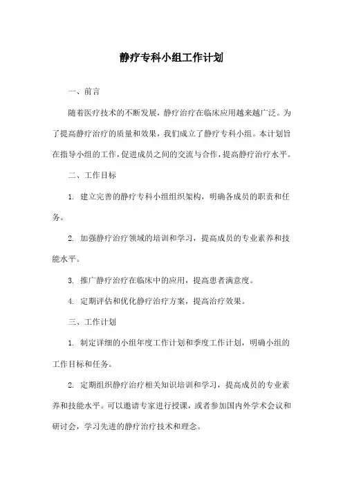 静疗专科小组工作计划