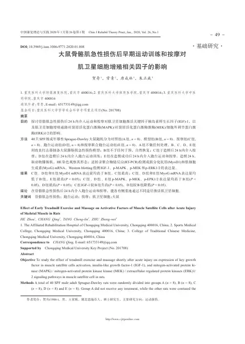大鼠骨骼肌急性损伤后早期运动训练和按摩对肌卫星细胞增殖相关因