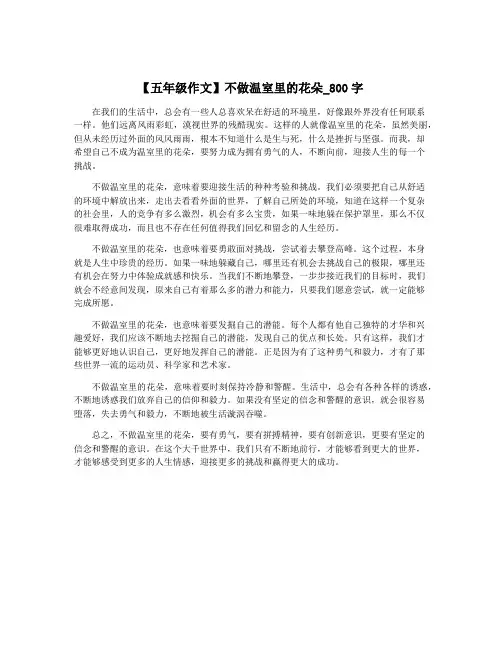 【五年级作文】不做温室里的花朵_800字