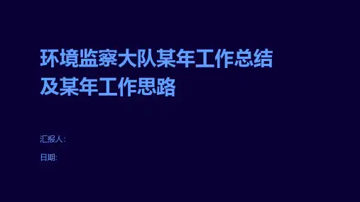 环境监察大队某年工作总结及某年工作思路