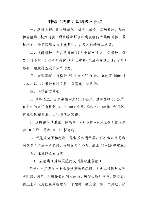 辣椒(线椒)栽培技术要点 - 三台农业信息网