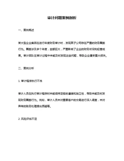 审计问题案例剖析