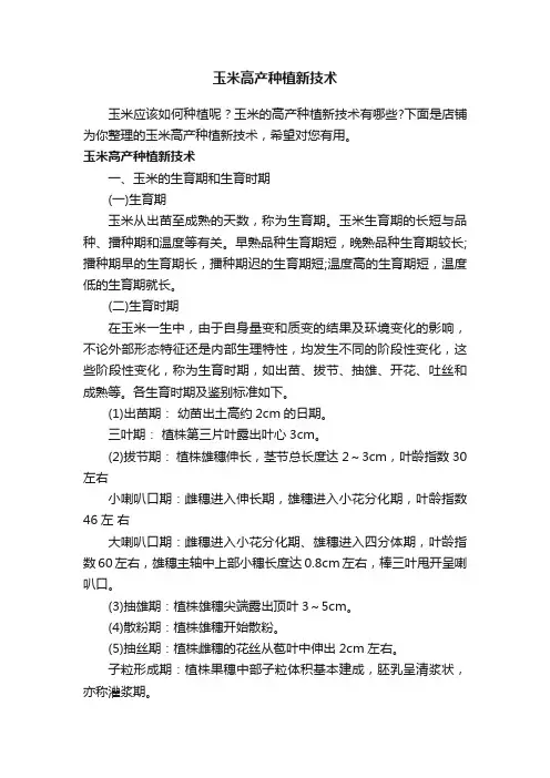 玉米高产种植新技术